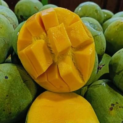 Mangga Harum Manis